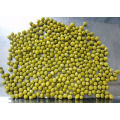 canned green peas in brine with best price